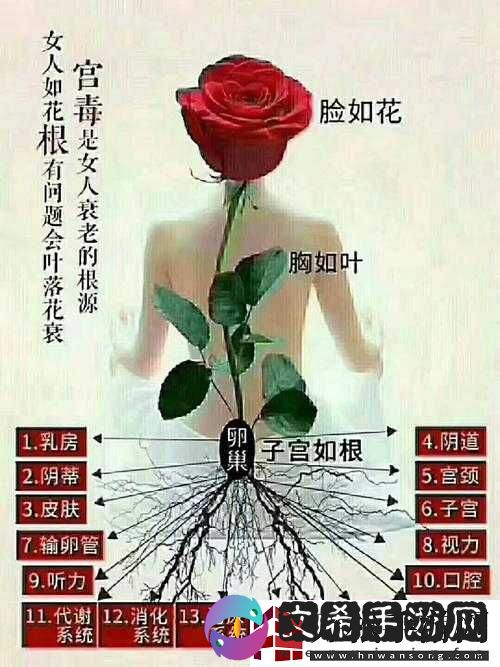 什么叫女人半夜莲花开