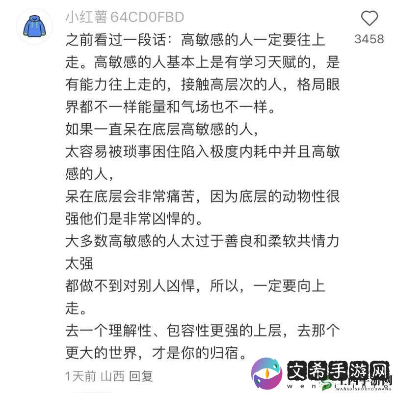 人曾交互 Ces 的独特魅力与深远影响探讨