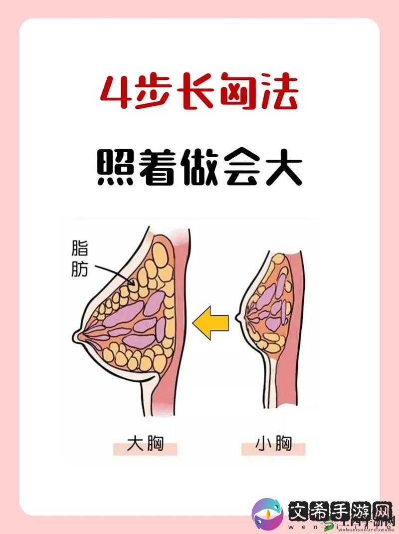 怎么可以让女生的胸变大一点：一些实用方法和注意事项