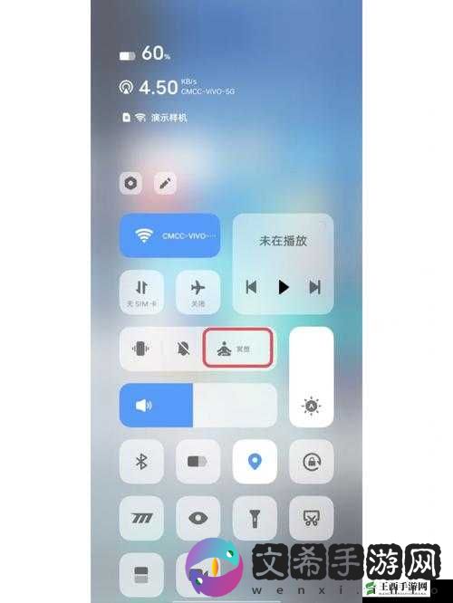 vivo3.0.3 破解大全：实用技巧与详细教程分享