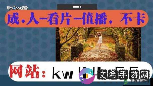 探索 xkdsp·spk 官网背后的神秘与精彩