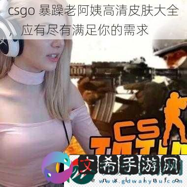 csgo 暴躁老阿姨高清皮肤大全，应有尽有满足你的需求