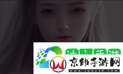 为什么“91www”值得关注-了解其背后的独特价值与优势