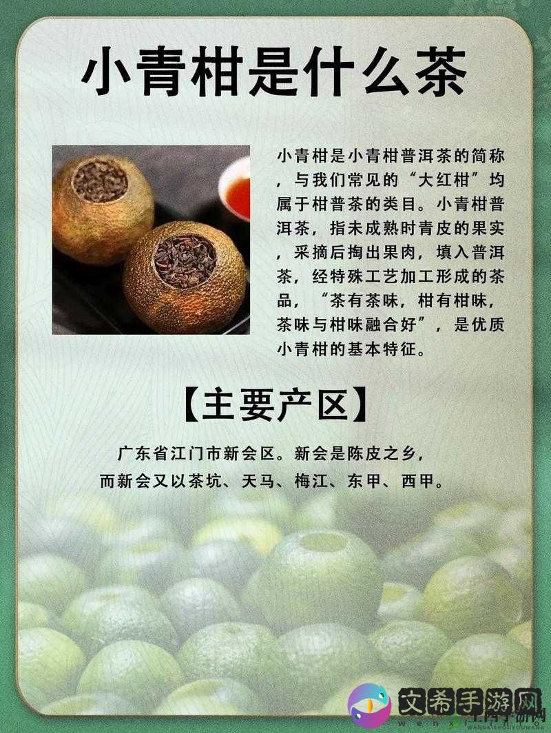 小青柑一线产区与二线产区区别对比