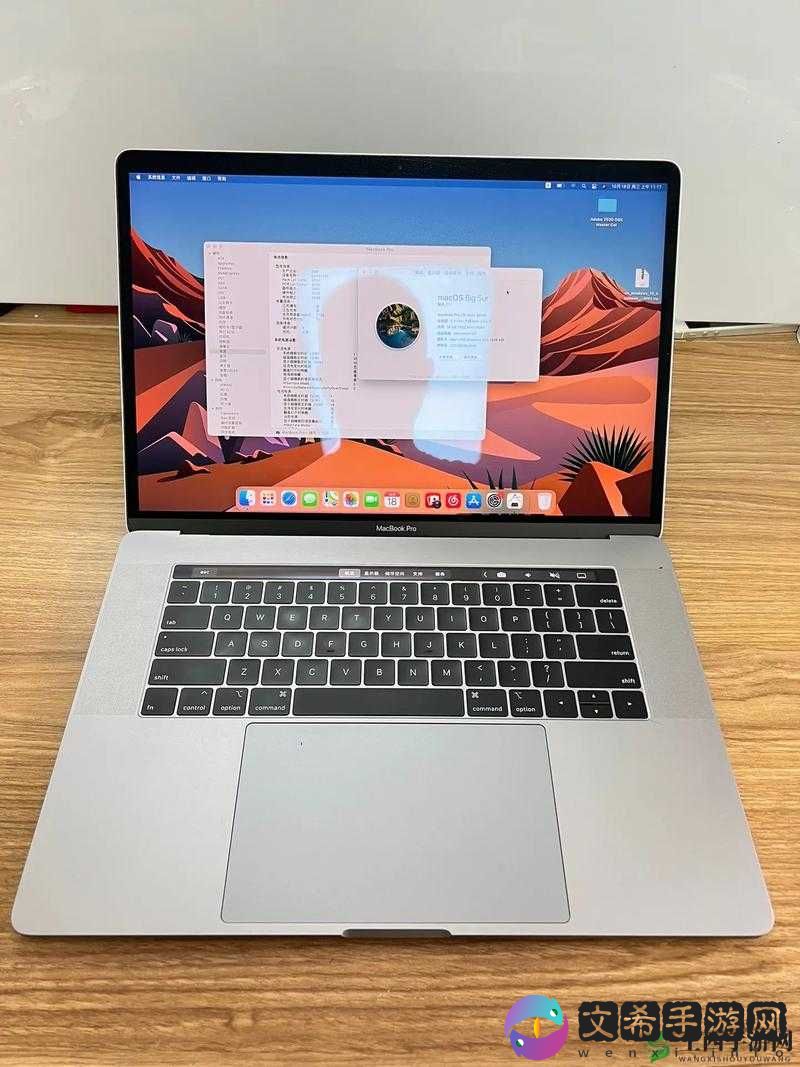 18 岁 macbookpro 高清-关于它的介绍