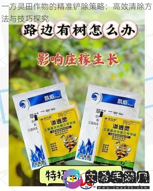 一方灵田作物的精准铲除策略：高效清除方法与技巧探究