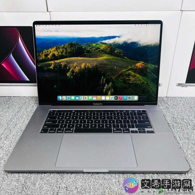 16 岁 macbookpro 日本成功发布新栏目：引发市场关注