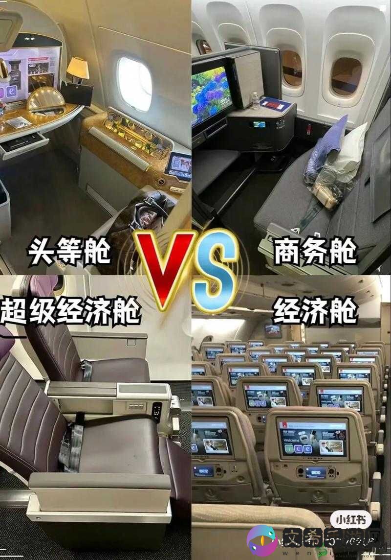 头等舱特殊待遇 2：详细解析